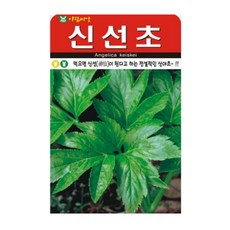 아람종묘 신선초 씨앗 100립, 1개
