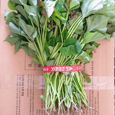 파머스넷 해남 꿀고구마 모종, 3kg, 1개