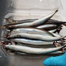 주문진농수산 생물 햇 생 양미리 반건조 강릉 주문진 사천항 당일조업 구이, 1박스, B급 기존 반건조 1두름 (20마리)