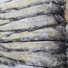 [참이든식탁] 동태 10마리 명태, 1개, 7kg