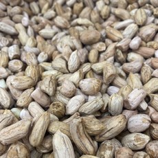 黑龍特產 屏東大顆花生 2024新產季, 1個, 一斤/600g