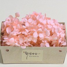 화연양화 프리저브드플라워 블루밍 케이스 수국 30색, 02 페일핑크