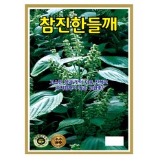KS종묘 참진한들깨 씨앗 100g 고유지 고소한 들깨종자 ks