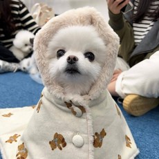 프롬도로시 강아지 망토 담요 보아 밍크 털, 1개, 아이보리