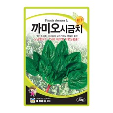 세계종묘 산들마켓 까미오시금치 씨앗 30g 노균병 저항성품종 시금치씨 종자, 1개