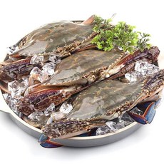 어남선생 간장게장용 급냉 연평도 암꽃게, 1박스, 3kg (9~15미)
