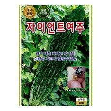 자이언트여주 종자 10립 일본수입종 대과형 여주 씨앗 고온기 재배 다수확 건강작물 ks, 1개