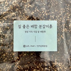 정겨운화분집 정성가득 직접 잘 배합한 질 좋은 배합 분갈이흙 - 모든식물용(프리미엄), 4L, 1개