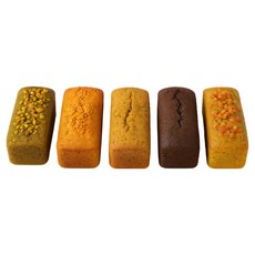 빵프로 저당빵 프로틴 파운드 케익(단백질 21g) 5종(초코 얼그레이 바나나 말차 피스타치오), 110g, 5개