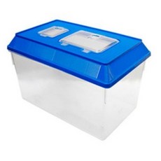 밀웜나라 채집통 왕대, 1개