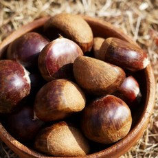 특선별 25년 햇밤 국산 알밤 부여 생밤, 1개, 1kg