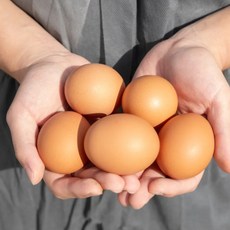 [성우담은란] 당일배송 동물복지 무항생제 당일산란 100퍼센트 식물성 단백질 사료와 대추를 급이한 유정란 (중란), 1박스, 60구