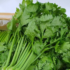 야채이야기 신선한 쌈샐러리 2kg (1.8-2kg), 1박스