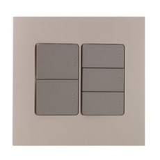 Jeil電工 Adonis 開關 香檳金 單切 6開 2聯用, 1個