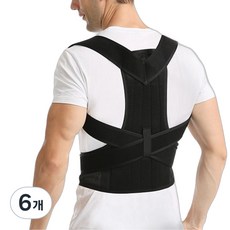 스카위즈 튼튼 벨트 블랙, 6개