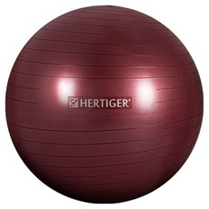 허타이거 임산부 짐볼 안티버스트, 버건디