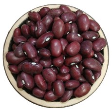 수입 미국산 울타리콩 500g 밤콩 2024년산, 1개