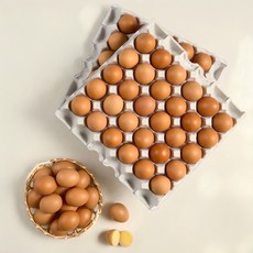 [HACCP인증 100%국내산] 파손보상 대란 구운계란, 1개, 120구