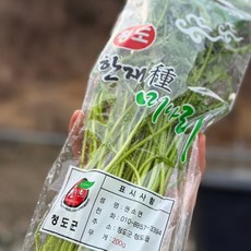 청도 한재 미나리 당일수확, 2개, 200g
