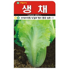 아람종묘 생채 상추 씨앗, 1개