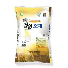 [택배출고일 당일도정] 2025년산 동철원농협 철원오대, 5kg, 1개, 상등급