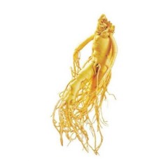 금산 인삼 파삼 5년근 수삼 국내산 1kg 파삼 막삼 대용량, 1개