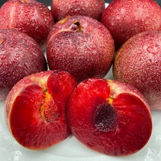 똘망 특대과 피자두 프리미엄 빨간자두, 1개, 3kg