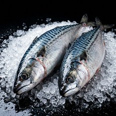 안동직송 순살 자반 간고등어 손질 국내산 뼈제거, 10개, 120g