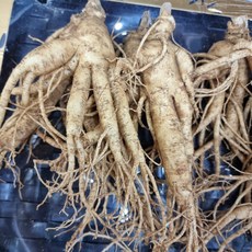 6년근 인삼 세척 수삼 A급 정품 난발삼 풍기인삼시장 한보인삼사, 300g, 2세트