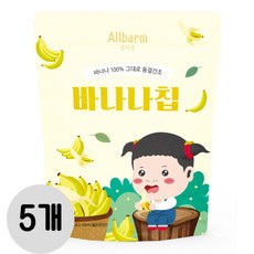 올바름 동결건조 과일칩 바나나칩, 5개, 15g