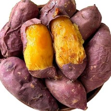 산지꾼 국내산 호박고구마 꿀고구마, 1개, 5kg 한입