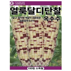 모두다팜 얼룩이 옥수수씨앗 100립 강원도 찰옥수수 씨 종자, 1개