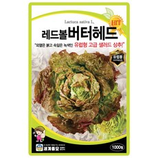 세계종묘 레드볼버터헤드 상추 씨앗 1000립 유럽형 고급 샐러드 상추씨 종자, 1개