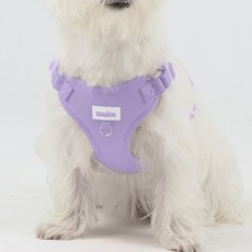왈츠 강아지하네스 목줄 하네스 앞섬방지 슬개골 H형 가슴줄 소형견, 바이올렛, 1개