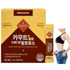 웰빙홀릭 카무트효소 분말 100% 식약청인증 130만 발효효소 골드 곡물 가루 HACCP, 1개, 90g