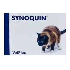 벳플러스 사이노퀸 캣 (고양이용) 관절영양제 30캡슐 (병원정품), 30정, 뼈/관절강화, 1개