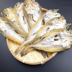 더맛있는건어물 편대구 노가리 파품, 1개, 1kg