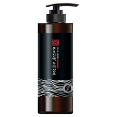 김소형 헤밀레 본초진액 두피샴푸 탈모관리, 2개, 500ml