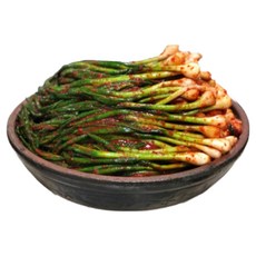 이푸른 [선도농협] 아산맑은 파김치 1kg, 1개