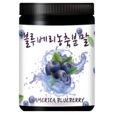 산들약초 미국산 블루베리농축분말 (블루베리농축액), 300g, 3개