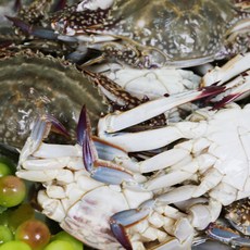 잡아서 곧바로 얼린 국내산 100% 연평도 급냉 숫꽃게 [2025년] 가성비, 1박스, 바로 급냉한 숫꽃게 1kg (5-6미/수분포함 중량