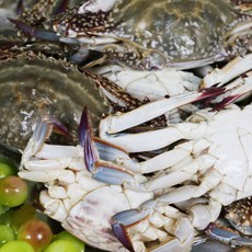 잡아서 곧바로 얼린 국내산 100% 연평도 급냉 숫꽃게 [2025년] 가성비, 1박스, 바로 급냉한 숫꽃게 2kg (10-12미/수분포함 중량