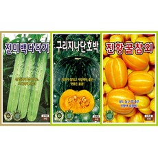 텃밭씨앗 3종 백다다기 오이씨앗 단호박씨앗 참외씨앗, 3개