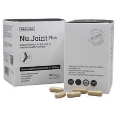 뉴질랜드초록입홍합 상어연골 - 관절건강 / 뉴와이즈 뉴조인트플러스 소비기한 2026년 5월 상품, 1개, 90정