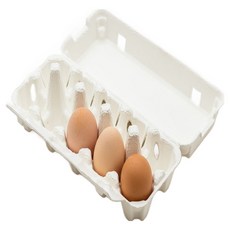 (부화용) 한엽 3호종 슈퍼 토종닭 - 유정란 3개, 1개