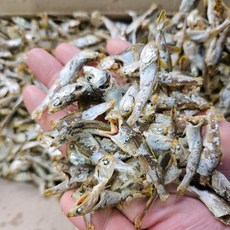 멸치원 남해안 통영 국물용 실속/알뜰형 햇고노리(곤어리)알뜰 육수용 다시용 멸치, 1.5kg, 1개