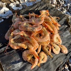 남해 건새우 꽃새우 국물용 밥반찬 안주 간식, 1개, 200g