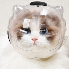 고양이 우주헬멧 입마개 고양이 물림방지 우주 헬멧, 1개, 투명하다