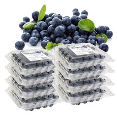 생 블루베리, 12개, 125g