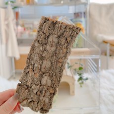 도마뱀 천연 코르크보드 자연나무 크레 탈피보드 나무껍질 은신처, 15cm, 1개